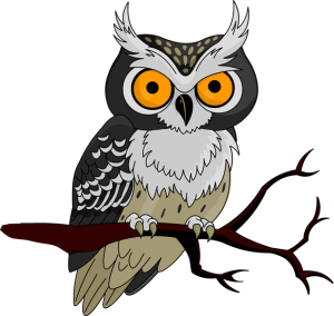 an autumn owl